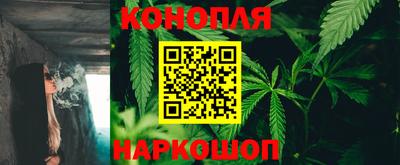 гашик Долгопрудный