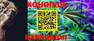 гашик Долгопрудный