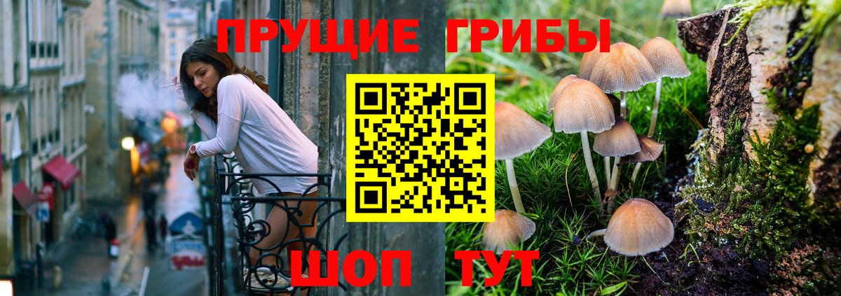 Псилоцибиновые грибы Psilocybe  Вход с VPN  Будённовск 