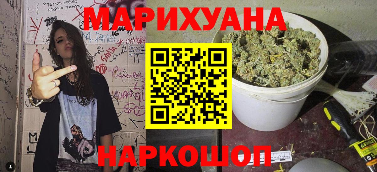 Канабис сатива Будённовск